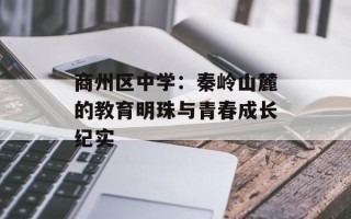 商州区中学：秦岭山麓的教育明珠与青春成长纪实