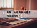黄颡（介绍黄颡的特点和生活习性）