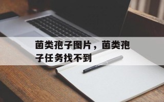 菌类孢子图片，菌类孢子任务找不到