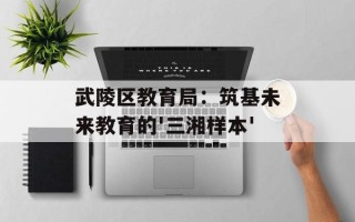 武陵区教育局：筑基未来教育的'三湘样本'