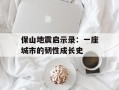 保山地震启示录：一座城市的韧性成长史