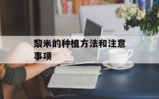 黎米的种植方法和注意事项