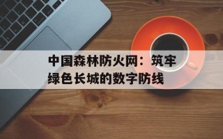 中国森林防火网：筑牢绿色长城的数字防线