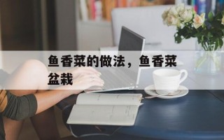 鱼香菜的做法，鱼香菜盆栽