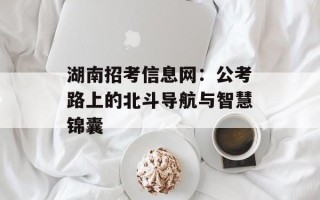 湖南招考信息网：公考路上的北斗导航与智慧锦囊