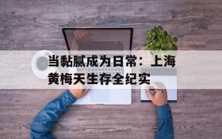 当黏腻成为日常：上海黄梅天生存全纪实