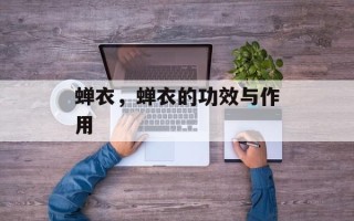 蝉衣，蝉衣的功效与作用