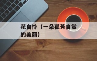 花自怜（一朵孤芳自赏的美丽）