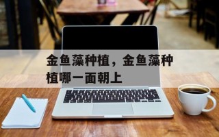 金鱼藻种植，金鱼藻种植哪一面朝上