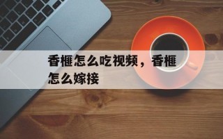 香榧怎么吃视频，香榧怎么嫁接