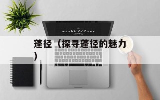 蓬径（探寻蓬径的魅力）