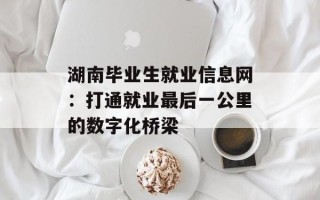 湖南毕业生就业信息网：打通就业最后一公里的数字化桥梁