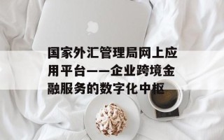 国家外汇管理局网上应用平台——企业跨境金融服务的数字化中枢
