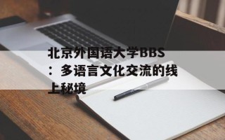 北京外国语大学BBS：多语言文化交流的线上秘境