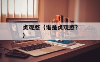 贞观憨（谁是贞观憨？）