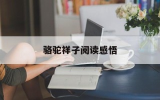 骆驼祥子阅读感悟