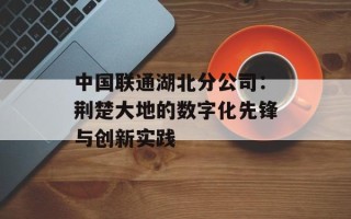 中国联通湖北分公司：荆楚大地的数字化先锋与创新实践
