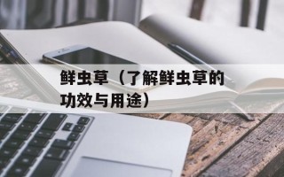 鲜虫草（了解鲜虫草的功效与用途）