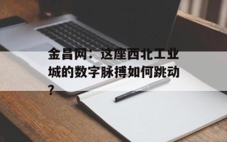 金昌网：这座西北工业城的数字脉搏如何跳动？