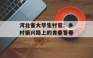 河北省大学生村官：乡村振兴路上的青春答卷