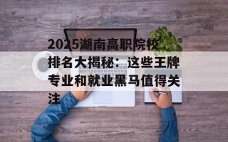 2025湖南高职院校排名大揭秘：这些王牌专业和就业黑马值得关注