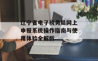 辽宁省电子税务局网上申报系统操作指南与使用体验全解析