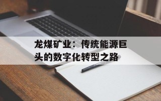 龙煤矿业：传统能源巨头的数字化转型之路