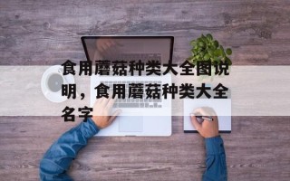 食用蘑菇种类大全图说明，食用蘑菇种类大全名字
