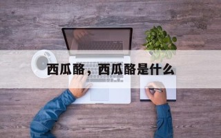 西瓜酪，西瓜酪是什么