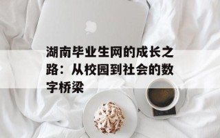 湖南毕业生网的成长之路：从校园到社会的数字桥梁
