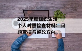 2025年度组织生活个人对照检查材料：问题查摆与整改方向