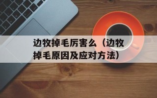 边牧掉毛厉害么（边牧掉毛原因及应对方法）