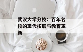 武汉大学分校：百年名校的现代拓展与教育革新