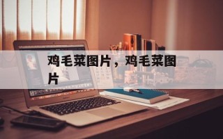 鸡毛菜图片，鸡毛菜图片