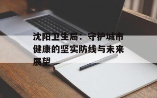 沈阳卫生局：守护城市健康的坚实防线与未来展望