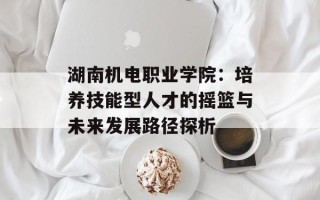 湖南机电职业学院：培养技能型人才的摇篮与未来发展路径探析