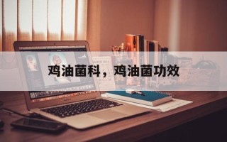 鸡油菌科，鸡油菌功效