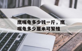 鹰嘴龟多少钱一斤，鹰嘴龟多少厘米可繁殖