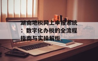 湖南地税网上申报系统：数字化办税的全流程指南与实操解析