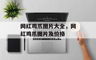 网红鸡爪图片大全，网红鸡爪图片及价格