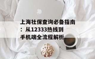 上海社保查询必备指南：从12333热线到手机端全流程解析