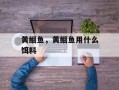 黄鲴鱼，黄鲴鱼用什么饵料