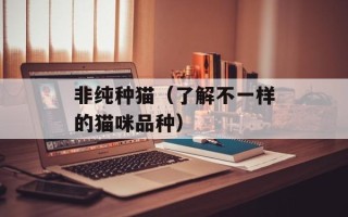 非纯种猫（了解不一样的猫咪品种）