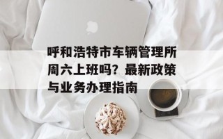 呼和浩特市车辆管理所周六上班吗？最新政策与业务办理指南