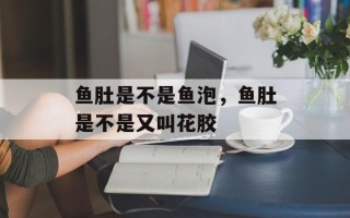 鱼肚是不是鱼泡，鱼肚是不是又叫花胶