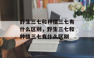 野生三七和种植三七有什么区别，野生三七和种植三七有什么区别