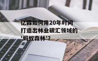 亿霖如何用20年时间打造出林业碳汇领域的'蚂蚁森林'？
