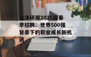 龙净环保2025届春季招聘：世界500强背景下的职业成长新机遇