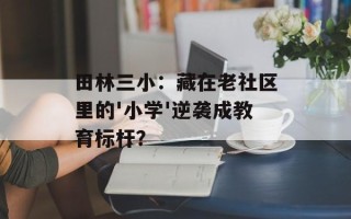 田林三小：藏在老社区里的'小学'逆袭成教育标杆？