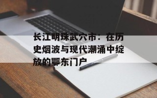 长江明珠武穴市：在历史烟波与现代潮涌中绽放的鄂东门户